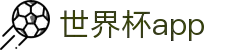 世界杯APP官方下载-官方平台与赛事直播入口|在线观看World Cup